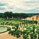 영화플라워 이미지