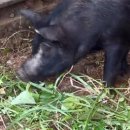 김순덕 농장 이미지