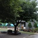 산속정원캠핑장 이미지