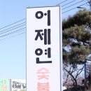 법인어제연 | 차은우 강화 장어집 폐업? 어제연 숯불장어 논란 정리