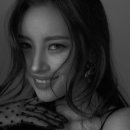선미 이미지