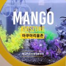 망고키즈수영장(화명본점) 이미지