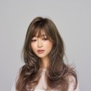 실비아미용실 - 강북구 | 실비아미용실