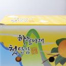 아름환경 | 아름단감 창원단감 단감보관법까지 알아보고 주문한 산지직송단감 후기