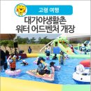 대가야생활촌 먹거리마을 | [고령 여행] 대가야생활촌 워터 어드벤처 개장