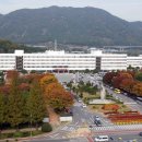 기동반-11 이미지