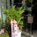 이대현수학교습소