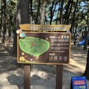 포항 아이랑, 송도 솔밭 유아숲체험원, 포항 숲놀이터, 포항 송도해수욕장, 대구근교 무료 놀이터