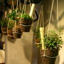 친환경 화분 만들기 이미지