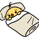 감성 피티 이미지