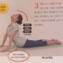 가토 Daum카페