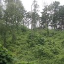 협성대학교 이미지