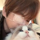 짱아슈퍼