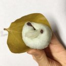 떡꽃닮 | 평촌 떡집 꽃닮(구 설송원) 망개떡 선물로 너무 좋네요!