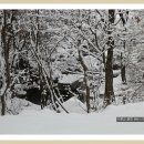 대성다방 - 구미시 상장4길 1 | 대성다방
