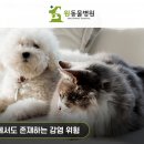 덕계 원 동물병원 이미지