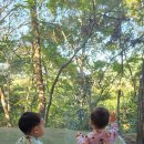 플러스카케어 | 14개월 쌍둥이 휴대용유모차 트라이크 에이블유모카플러스 내돈내산 구입후기