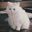 (주)세우 이미지