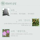 진명여자고등학교 이미지