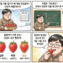 제일적산 네이버블로그