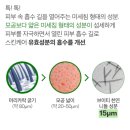 코스매틱 - 오산시 청학로 228 | 코스매틱
