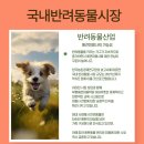 혁신애견미용 이미지