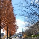 주암해물손칼국수 이미지