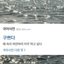 안경진정성 전주혁신도시점 | 26.02 쌓이는 일상, 쌓이는 연어