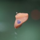 부산세기보청기 이미지