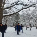 명동산장펜션 이미지