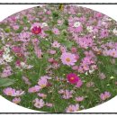 다산행정사사무소 이미지