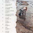 헤이즈헤어 - 동구 동화천로77길 1 | 헤이즈헤어