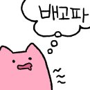 노말살롱 네이버블로그