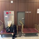 넘버25호텔 대청점 | [부산남포] 부산 국제시장 근처 숙소 추천, 넘버25호텔 남포대청점(feat. 부평야시장 깡대후)