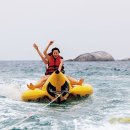 하나레포츠