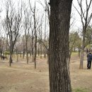 백운역근처공원 이미지