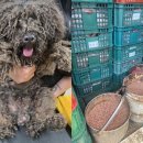 인천축산 이미지