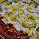 추광농장 이미지