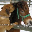 피식 이미지