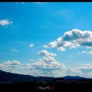 풀잎궁전 이미지