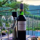 38펜션하우스 이미지