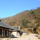 정진한 | 문경 여행지 코스 갈만한곳 | 사불산 대승사 근암서원 | 경북 가볼만한곳