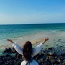 마이바당 | 제주 여행 아이랑 3대 가족 여행 버스 투어 제주꿈바당도서관 기념품샵