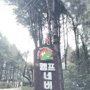 메이 캠프 | 가평 캠프네버랜드 애견동반 캠핑장