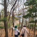 2박3일 여수여행 셋째날(13일) 송여자도 ② 이미지