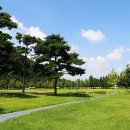 수성패밀리파크 Daum카페