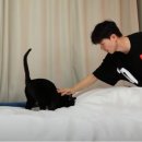 다홍 이미지