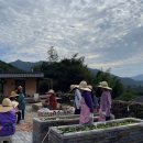 신흥2농장 이미지