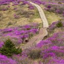 노고단-5 이미지