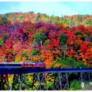 성산교회 앞 버스정류장 이미지